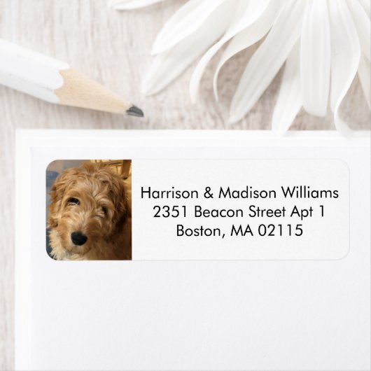カスタム写真のモダン可愛い差出人住所 ラベル (インサイチュ)