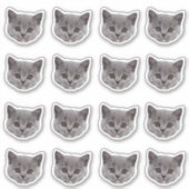 カスタム写真の防水ビニール シール (正面)