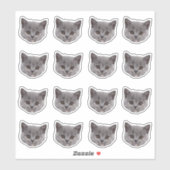 カスタム写真の防水ビニール シール (シート)