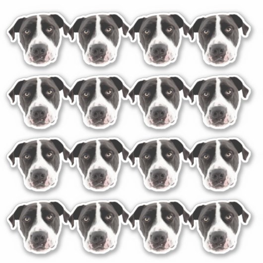 カスタム写真の防水ビニール シール (正面)