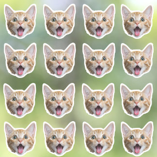 カスタム写真の防水ビニール シール