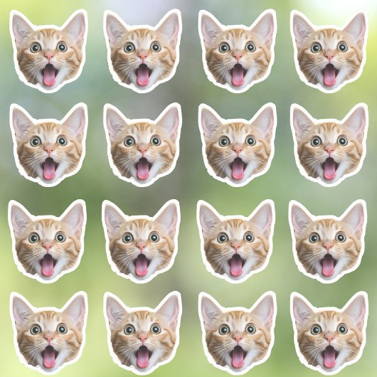 カスタム写真の防水ビニール シール