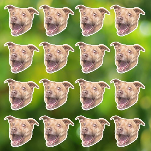 カスタム写真の防水ビニール シール