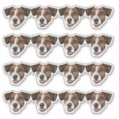 カスタム写真の防水ビニール シール (正面)