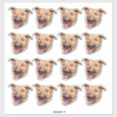 カスタム写真の防水ビニール シール (シート)