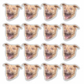 カスタム写真の防水ビニール シール (正面)