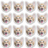 カスタム写真の防水ビニール シール (正面)