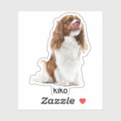 カスタム写真の防水ビニール シール (シート)