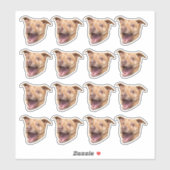 カスタム写真の防水ビニール シール (シート)