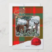 カスタム写真クリスマスホリデー招待状またはカード 招待状 (裏面)