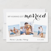 カスタム写真コラージペットドッグ結婚の駆け落ち セーブザデート (正面)