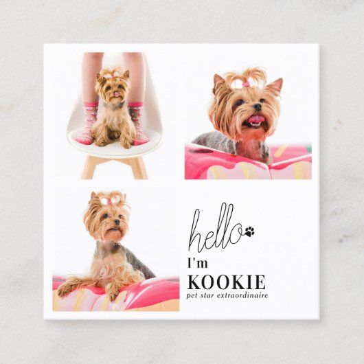 カスタム写真コラージュSNSペットインフルエンサー スクエア名刺 (正面)