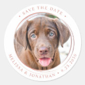 カスタム写真バラ金ゴールド結婚式の日付の保存 ラウンドシール (正面)