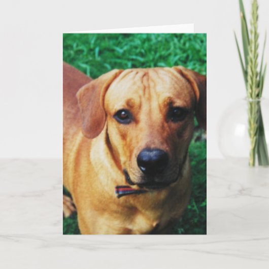 カスタム写真パーソナライズされた挨拶 カード (正面)