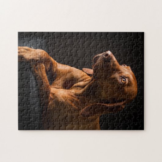 カスタム写真パーソナライズされた ジグソーパズル (横)