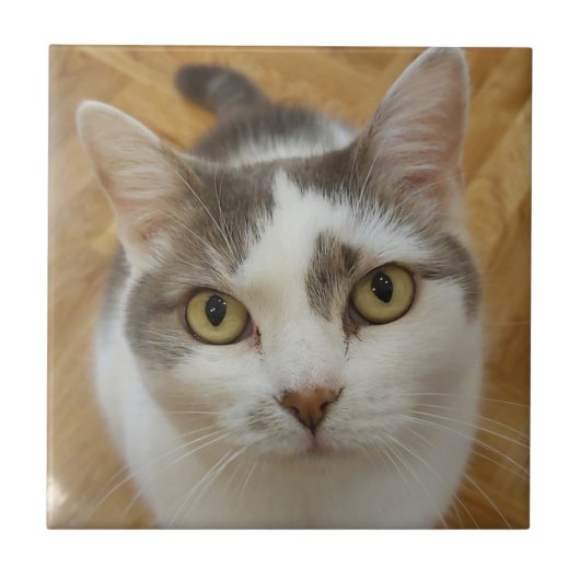 カスタム写真パーソナライズされた タイル (正面)