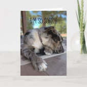 カスタム写真ブリンドルキャトルドッグベレーテッドテンプレート カード (正面)