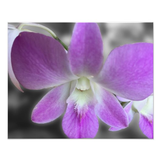 カスタム写真プリントの写真のサイズ変更 フォトプリント            (正面)