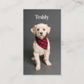 カスタム写真ペットパピードッグソーシャルメディアQRコード 名刺 (正面)