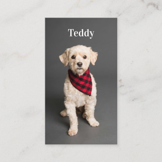 カスタム写真ペットパピードッグソーシャルメディアQRコード 名刺 (正面)