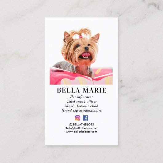 カスタム写真モダンPETソーシャルメディア 名刺 (裏面)