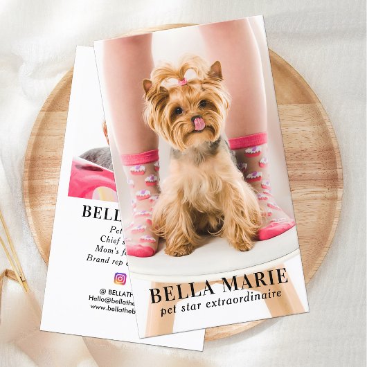 カスタム写真モダンPETソーシャルメディア 名刺