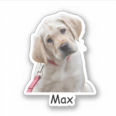 カスタム写真ラブラドール・レトリーバー子犬 シール (正面)