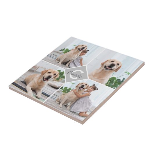 カスタム写真丁合モノグラム名犬 タイル (側面)