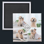 カスタム写真丁合モノグラム名犬 マグネット<br><div class="desc">祝最高のモノグラムカスタムペットPhoto Collageマグネットの友人。あなたが多くのおもしろいの思い出や写真を持っている場合、1つの写真だけでは十分ではない。私たちのドッグフォト磁石は4つの写真を持っている。あなたが新しい子犬を持っているか、または毎年のすべての特別な瞬間を記念するために、すべてのペットは磁石に値パーソナライズされたする！COPYRIGHT © 2020 Judy Burrows,  Black Dog Art - All Rights Reserved.カスタムPhoto Collage Monogram Name Dog magnet</div>
