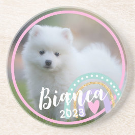 カスタム写真名Year Rainbow Sandstone Coasters コースター