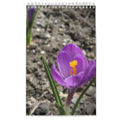 カスタム写真壁カレンダー カレンダー (カバー)