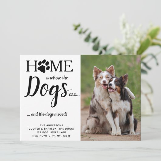 カスタム写真引っ越しました犬ペット移動 案内状 (スタンド正面)