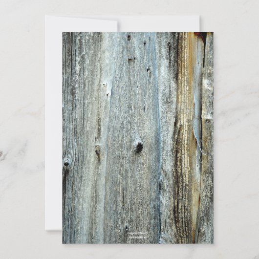 カスタム写真樹齢木卒業パーティー招待状 招待状 (裏面)