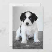 カスタム写真2025年カレンダー新年おめでとう シーズンカード (裏面)