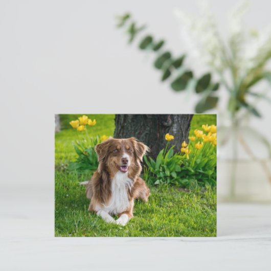 カスタム写真 ポストカード (スタンド正面)