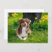 カスタム写真 ポストカード (正面/裏面)