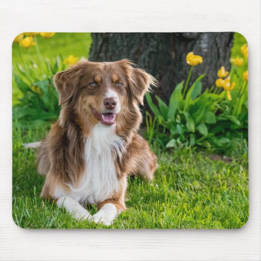 カスタム写真 マウスパッド (正面)