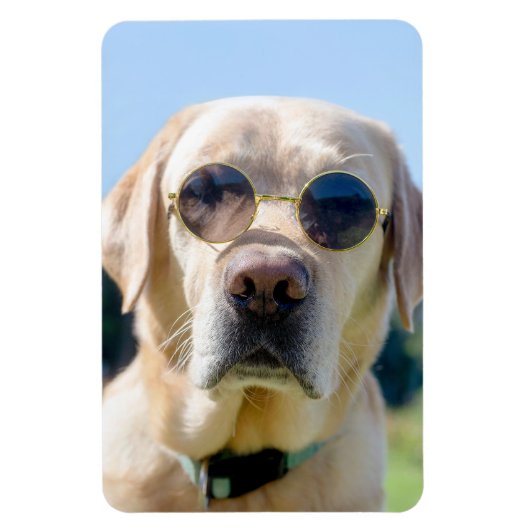 カスタム写真 マグネット (縦)