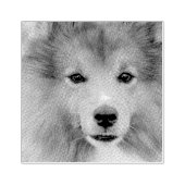 カスタム写真 ラバースタンプ (インプリント)