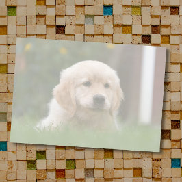 カスタム写真 |画像をライトトーンに自動変換 ポストイット