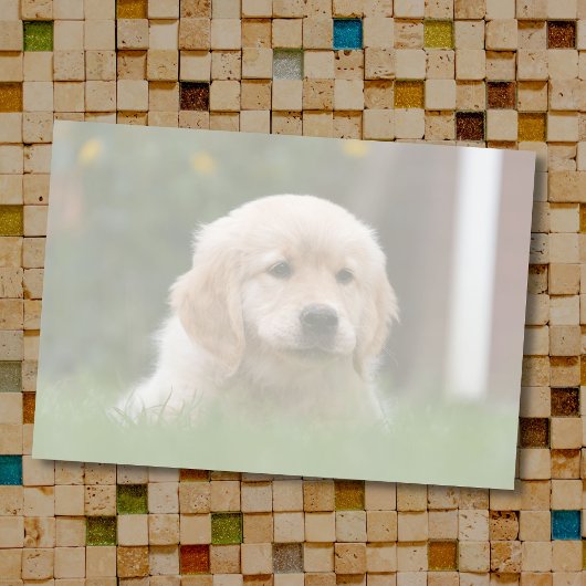 カスタム写真 |画像をライトトーンに自動変換 ポストイット