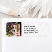 カスタム写真（自分の写真を追加） ラベル (インサイチュ)