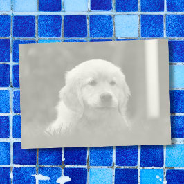 カスタム写真、PicをライトトーンBおよびWに自動変換 ポストイット