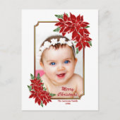 カスタム写真Red Poinsettiaホワイトクリスマス シーズンポストカード (正面)