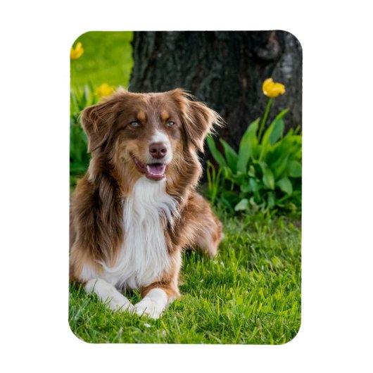 カスタム冷蔵庫 マグネット (縦)