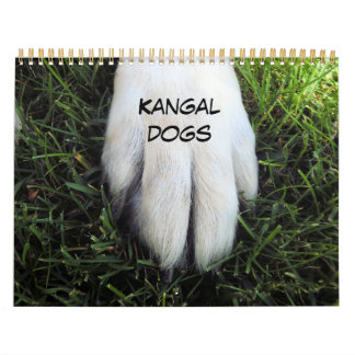 カスタム印刷カレンダー カレンダー