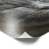 カスタム可愛いグレー子猫顔写真 フォトプリント (角)