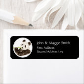 カスタム可愛いパンダ、アジアベア、動物 ラベル (インサイチュ)