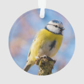 カスタム可愛いブルーイエローバードフォトパーソナライズされた オーナメント (裏面)