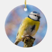 カスタム可愛いブルーイエローバードフォトパーソナライズされた セラミックオーナメント (裏面)